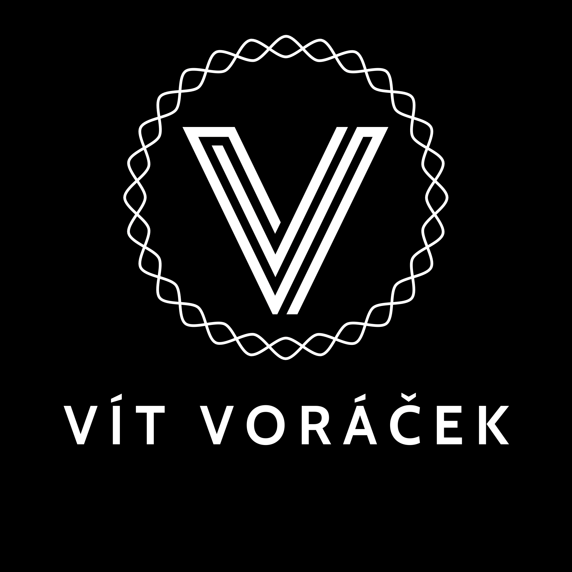 Vít Voráček